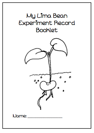Lima Bean experiment booklet